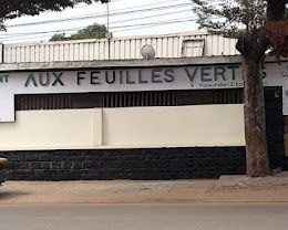 Photo de Les Feuilles Vertes